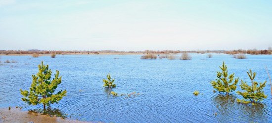 Для чего нужен путевой лист тракториста