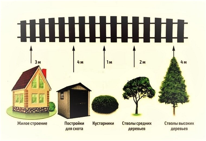 Кому подчиняется председатель СНТ