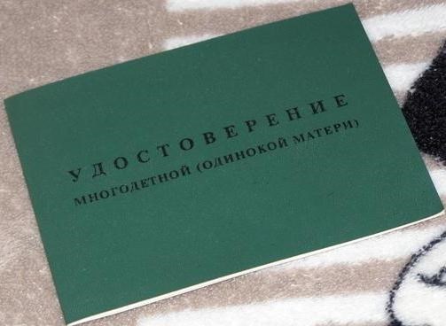 Помощь на покупку жилья в Калмыкии для матерей-одиночек